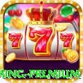 5811bet - Gaming Premium